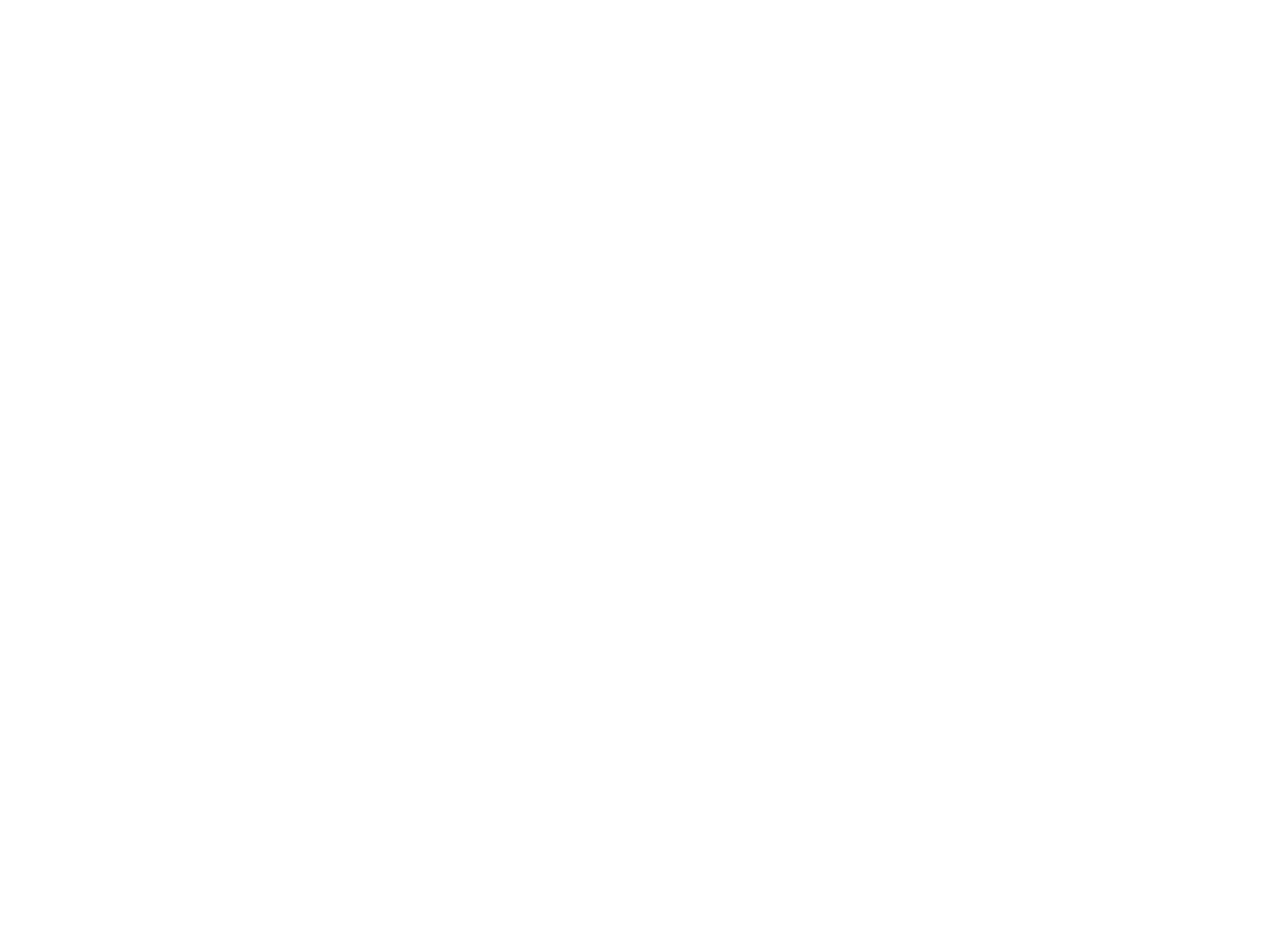 Brand Guideline – Stefano Diversi
